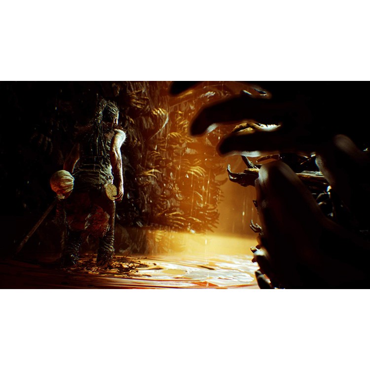 بازی Hellblade: Senua's Sacrifice پلمپ برای PS4 - Thumbnail 5