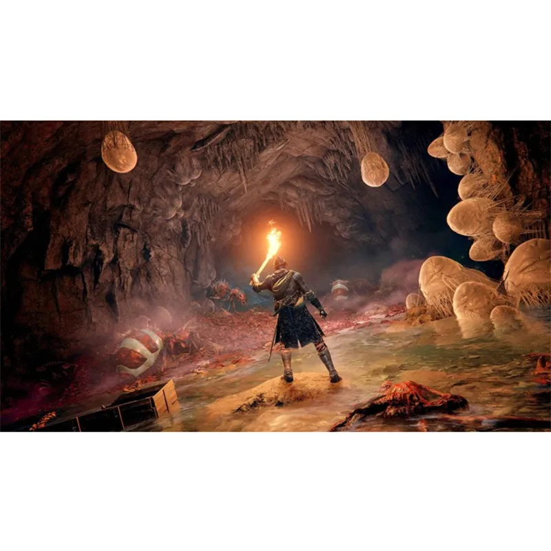 بازی Elden Ring: Shadow of the Erdtree Edition پلمپ برای PS5 - Thumbnail 1