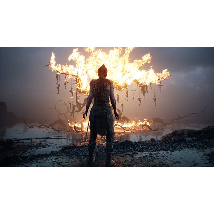 بازی Hellblade: Senua's Sacrifice کارکرده برای PS4 - Thumbnail 2